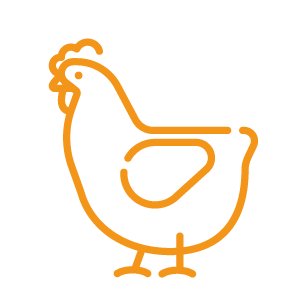 Especialización Avicola